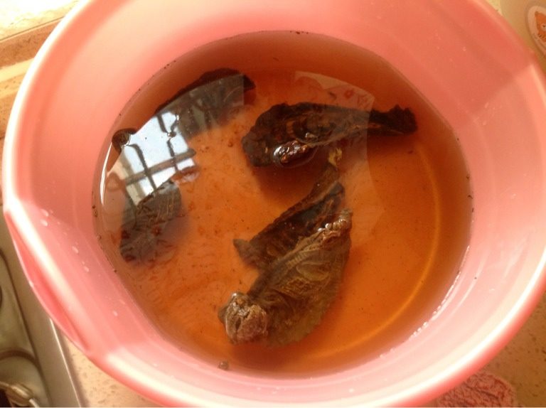 烟笋炒肉丝,肥肉丝下锅,不放油,淋少许清水煸出油;