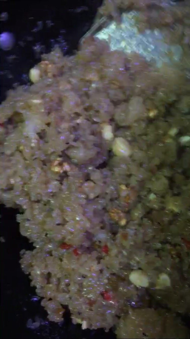 滋补糯米酒饭--温州特色年夜饭必出菜品,把备好的<a style='color:red;display:inline-block;' href='/shicai/ 5056'>核桃仁</a>，<a style='color:red;display:inline-block;' href='/shicai/ 669'>腰果</a>，<a style='color:red;display:inline-block;' href='/shicai/ 603'>葡萄干</a>等佐料，与吹好的糯米饭拌匀，同时加入适量的<a style='color:red;display:inline-block;' href='/shicai/ 882'>红糖</a>(此时留点佐料摆盘用)