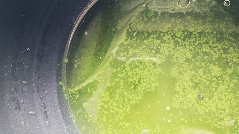 我不是青团,我是抹茶味雪媚娘。,将纯净水、抹茶粉(雪媚娘皮)、<a style='color:red;display:inline-block;' href='/shicai/ 140122'>玉米油</a>、细砂糖(雪媚娘皮)煮到快沸腾时关火。