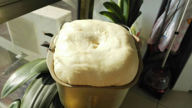 红豆包,把所有的材料称量好混合在一起,放入面包桶里,用面包机和面省事多了。这个豆包不用揉出手套膜。放温暖处发酵至两倍大。