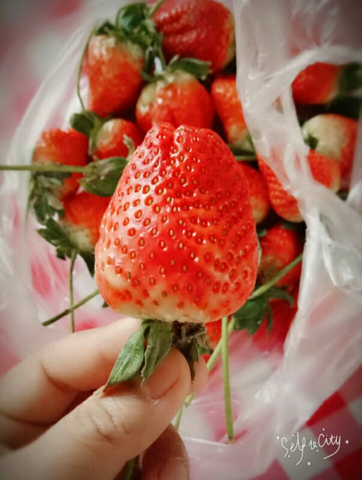 草莓冰糖葫芦,<a style='color:red;display:inline-block;' href='/shicai/ 592'>草莓</a>洗干净后串好,我用了我家的筷子串的😢