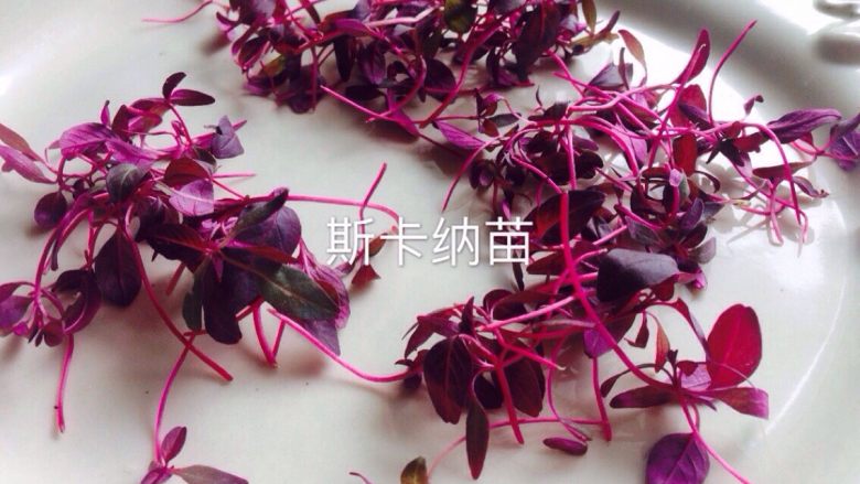 ANTANG私人定制,食用花草请用冰水泡5分钟