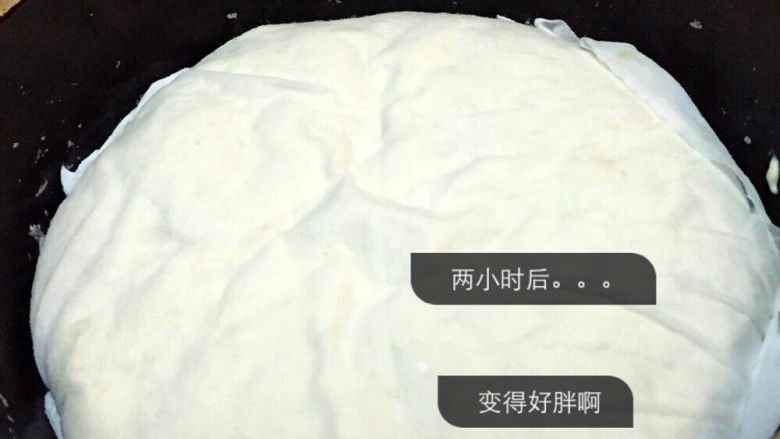 第一次蒸包子,两小时后面发起变成了之前的2倍多,变得比之前胖了好多好多