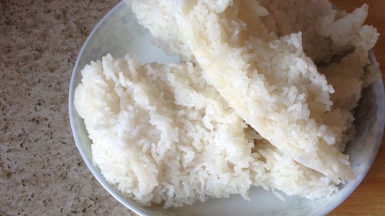 烤肉焗饭,剩饭,若干。
