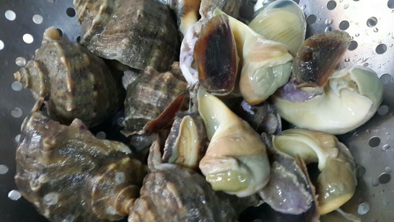 风生水起捞螺片,海螺煮3-4分钟浸泡凉水取肉