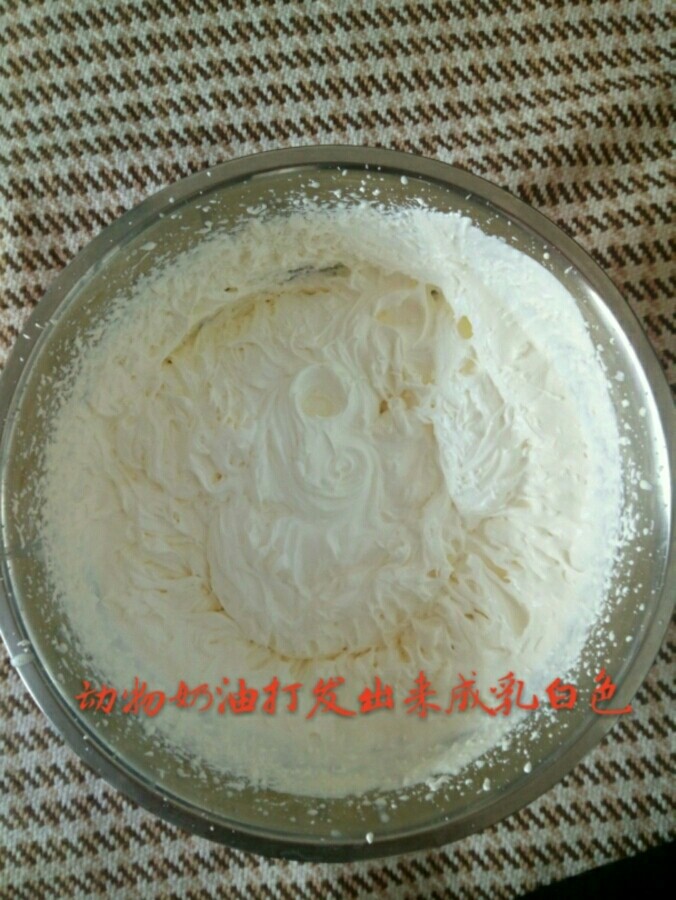 双层奶油戚风蛋糕,动物奶油打发
1准备一盆凉水
2动物淡奶油首先要在冰箱冷藏12小时
3.摇晃均匀,缓慢到入无水无油的盆子里
4.首先电动打蛋器开始打发,1分钟。再加入30细砂糖,打发2分钟。再次加入细砂糖打发3分钟。再次高速打发2分钟。奶油出现明显文路停止打发。