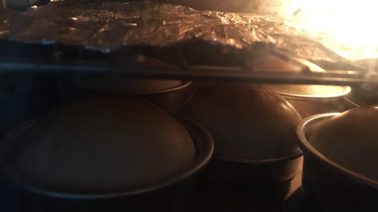 小巨蛋中种面包,及时加盖锡纸
我有一次就是疏忽了,烤的跟包公似的,嘻嘻