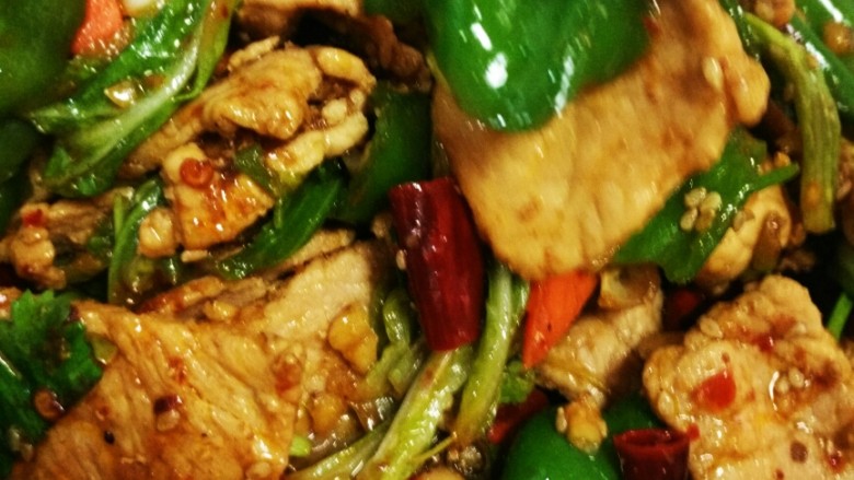 麻辣肉片,夹一片肉一片麻椒一起吃,爽啊!