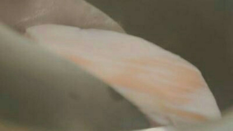 东北酸菜白肉锅,高汤先加热是减少生肉与冷水加热后易产生浮沫,所以多了这一步, 如果使用炉火,水滚加入猪肉煮半小时,熟透亦可。
