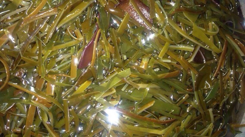 酸辣海带丝,海带丝焯水,好了之后用冷水冲凉沥干备用。