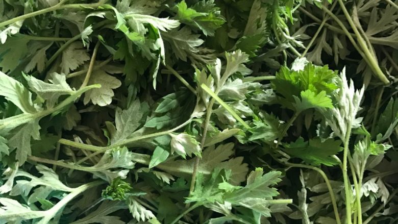 青麻糍,新鲜的青,洗干净后焯熟拧干。