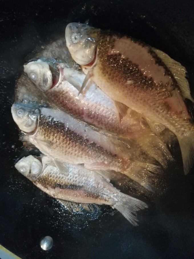 鲫鱼豆腐汤,将腌制过的鱼清水冲洗并且沥干水份,用少量花生油煎制出香味出锅备用。