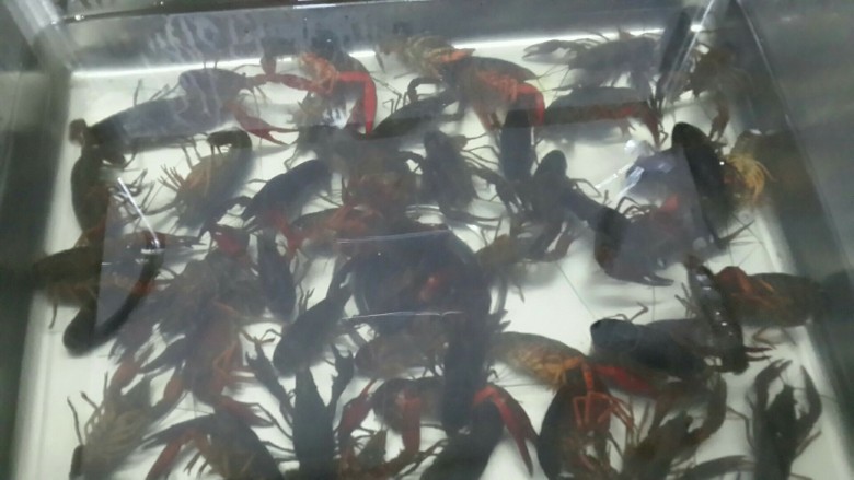 麻辣小龙虾(味甜麻辣),淡盐水浸泡10-15分钟,吐出脏物