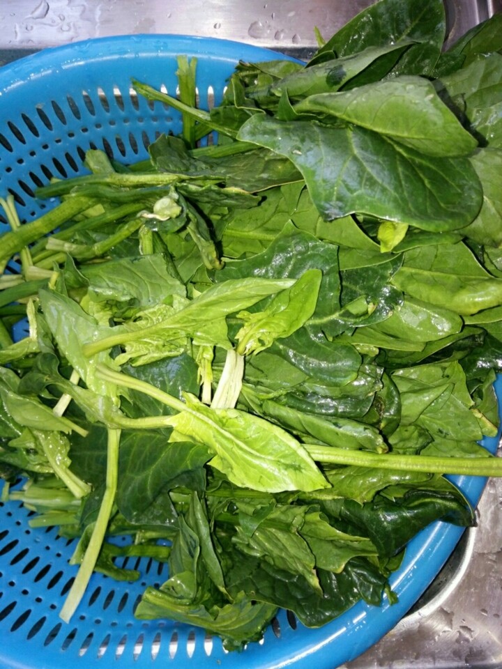 陈醋菠菜花生米,<a style='color:red;display:inline-block;' href='/shicai/ 117'>菠菜</a>去根、洗净。