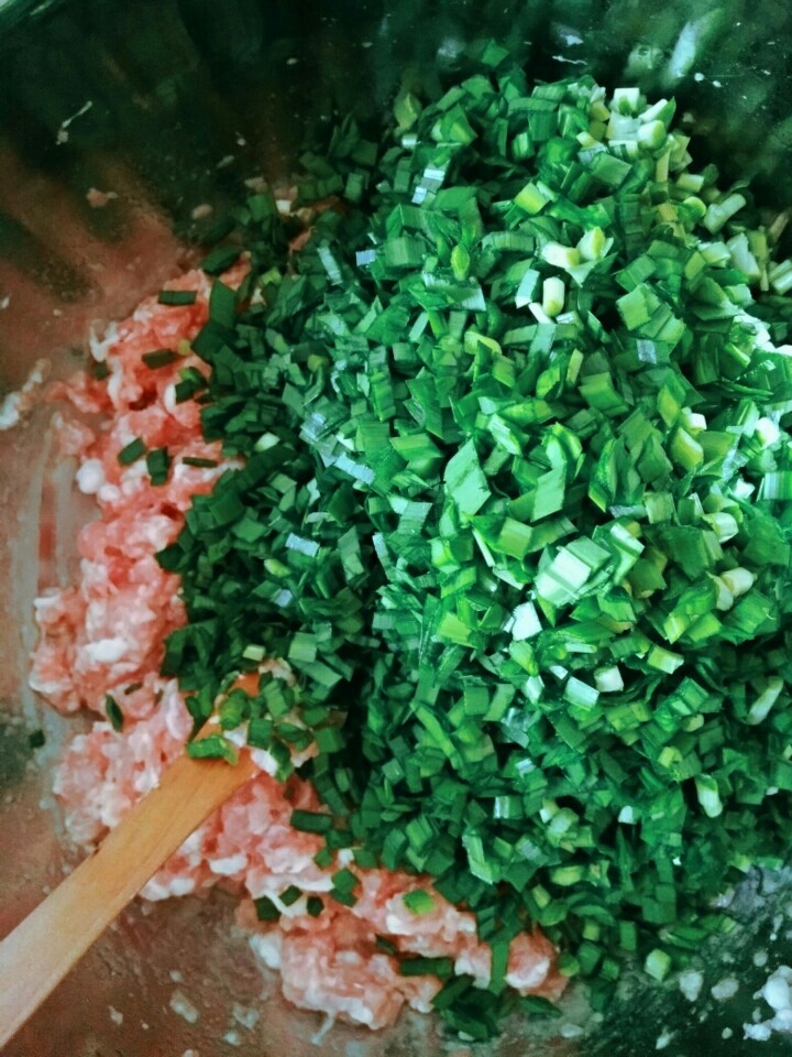 家常猪肉韭菜水饺,加入韭菜,搅拌。