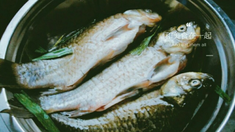 泡菜鲫鱼,<a style='color:red;display:inline-block;' href='/shicai/ 377'>鲫鱼</a>洗干净  鱼身上划一些口 放入盐 <a style='color:red;display:inline-block;' href='/shicai/ 718'>料酒</a> <a style='color:red;display:inline-block;' href='/shicai/ 37'>姜</a>  淀粉腌制二十分钟