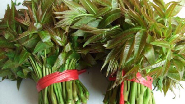 香椿芽炒包蛋,准备好食材 <a style='color:red;display:inline-block;' href='/shicai/ 3246'>香椿芽</a>洗净控水 切寸碎