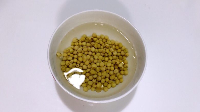 豆浆超级好喝的配方,根本停不下来,黄豆提前一夜用清<a style='color:red;display:inline-block;' href='/shicai/ 156925'>水</a>泡。