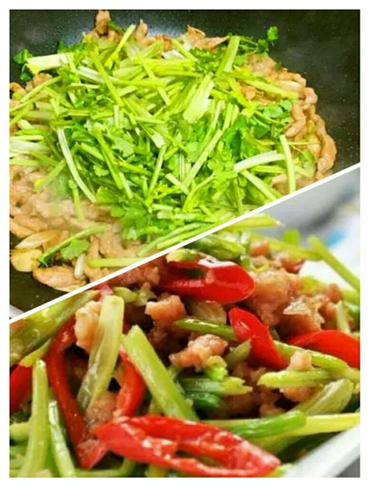 香菜肉丝,锅预热,放少许油,放入腌制好的肉丝,炒开,炒到变色加入切好的红辣椒葱姜蒜,翻炒,再放入香菜,加一点点盐,大火翻炒,加点生抽 翻炒片刻可出锅,