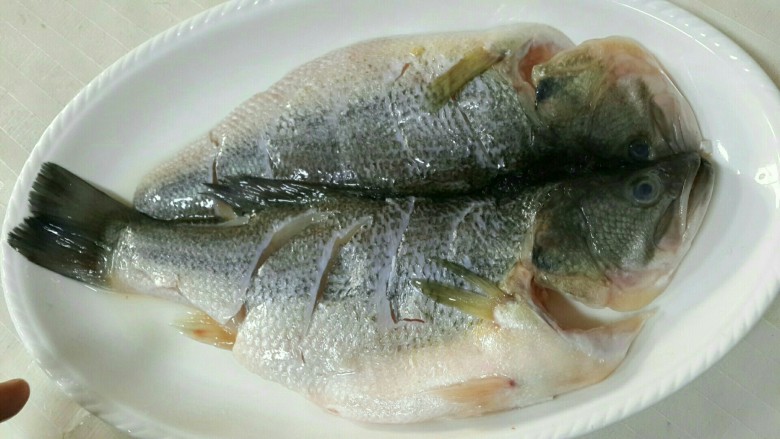 剁椒鲈鱼 (配香葱剁椒面),正面图