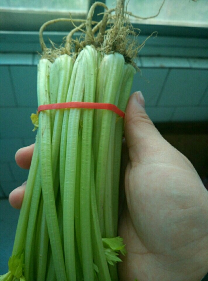 芹菜麦饭,<a style='color:red;display:inline-block;' href='/shicai/ 125'>芹菜</a>洗净晾干,切成小丁越小越好