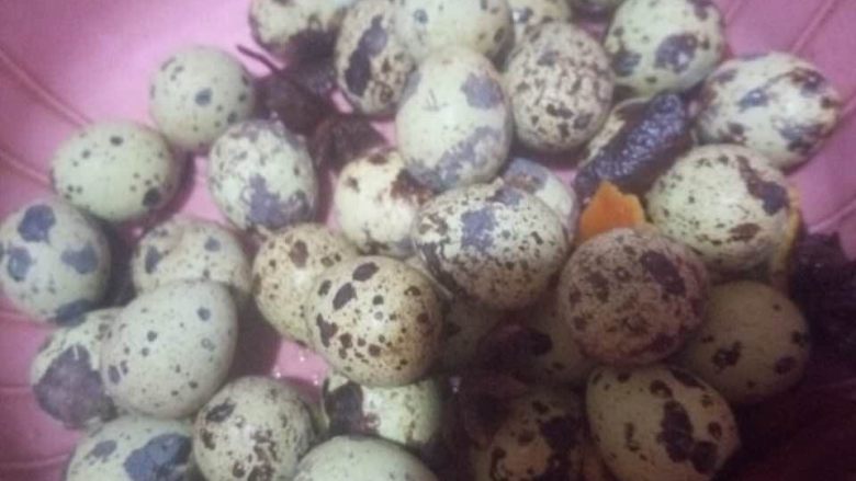 卤鹌鹑蛋,关火,鹌鹑蛋捞出,装到一个深一点的盘子里,来回转几圈,让鹌鹑蛋相互撞击起不规则裂缝,这样更方便入味,而且蛋壳也更容易拨哦,