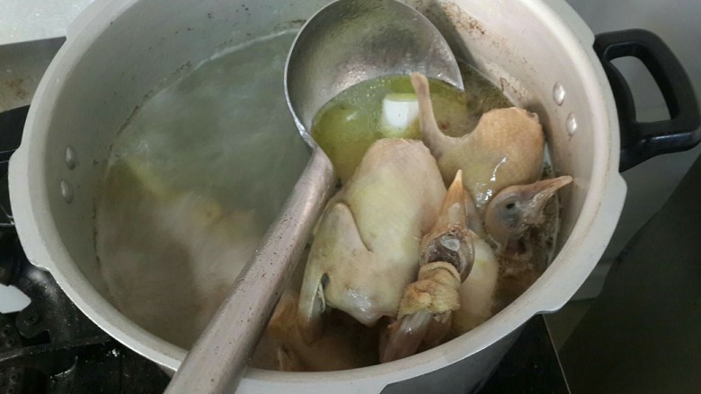 松茸枸杞炖乳鸽,回头再炖乳鸽,