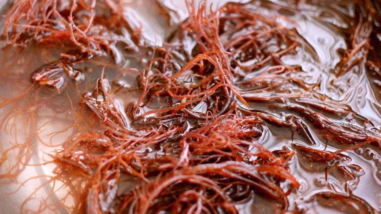 凉拌红毛菜(海藻)#烟台特色#,放入盆中用清水浸泡半个小时