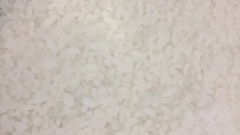 家庭简易版自制酒酿,这是蒸熟后的米饭,自然冷却至不烫手