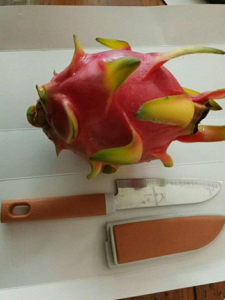 糖醋火龙果皮,<a style='color:red;display:inline-block;' href='/shicai/ 608'>火龙果</a>洗干净,备好小刀