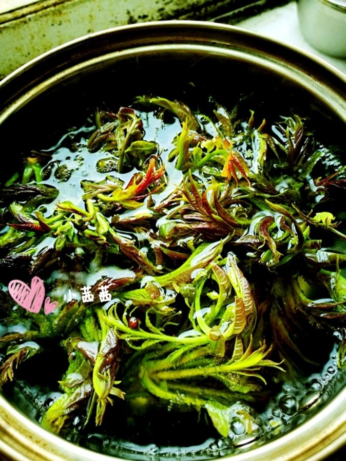 香椿鸡蛋,待水烧开后,放香椿焯水,待香椿几乎全变绿后捞出并冲凉