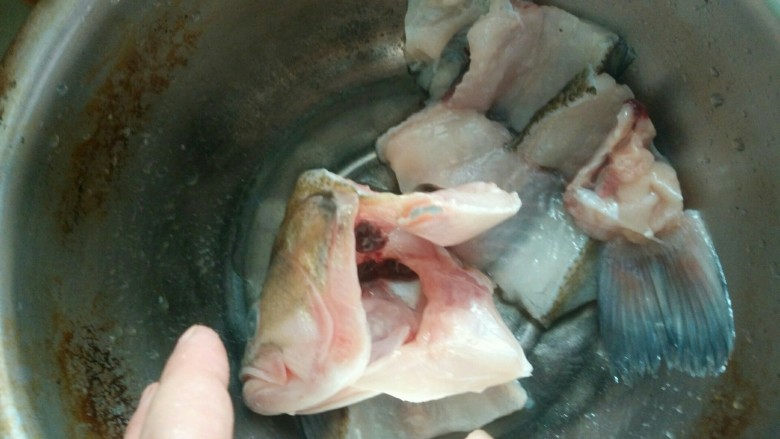 边角料美味鲈鱼汤,鱼洗干净,没有料酒了,用白酒,盐,腌鱼把他们抓匀