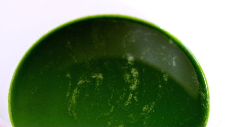 桃花酒酿百合羹(王氏私房菜),菠菜叶洗净后榨汁备用