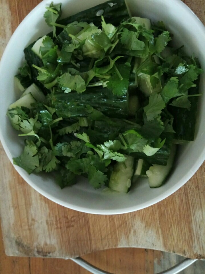 酸辣爽爽腌黄瓜,腌好的黄瓜沥干盐水,把切好备用的香菜撒上去