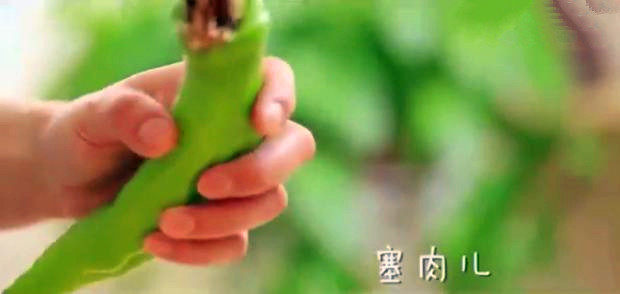 青椒塞肉,将肉馅塞入青椒中,直到塞满
