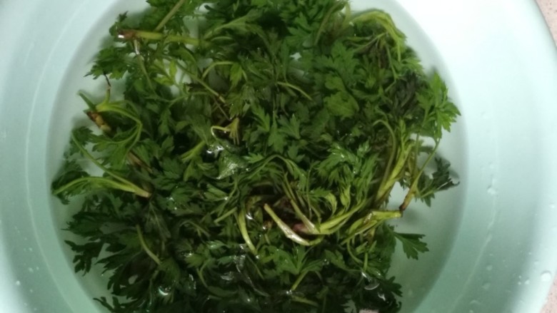 青团,煮软的艾草从锅中挑出，马上浸入凉开水中冷却