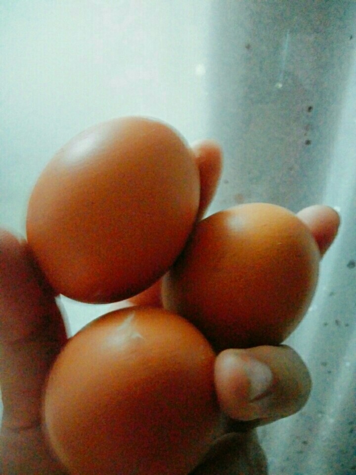 辣椒实蛋,把鸡蛋打了,然后放减,记住减不能一次多放,一次少放然后把鸡蛋搅匀,直到鸡蛋变成暗红色,然后做到锅里,