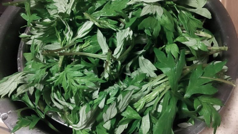 铯(Sei )饭,新鲜蒿菜如图,供大家认识参考。