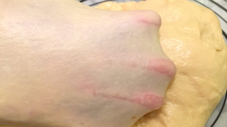 #东菱面包机#肠仔面包,检查面团状态,能拉出薄而不易破的手套膜