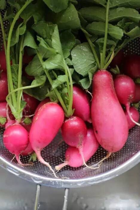 【下饭菜】腌菜集锦,洗净切片,薄片