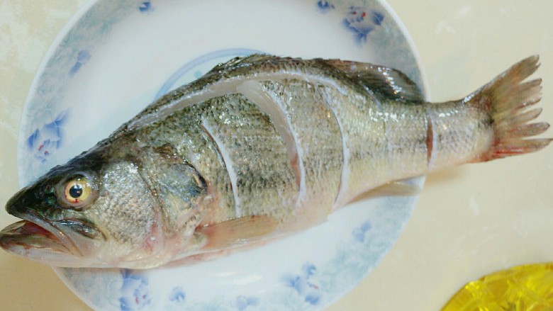 辣子鲈鱼,养殖的鲈鱼,肉较厚,入味困难。鱼背、肚子上要开刀便于入味。
鱼要热水入蒸锅。蒸6-7分钟。
