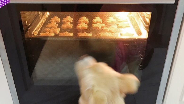 黄油饼干,我家的狗已经Hold不住了!题外话,哈哈哈!