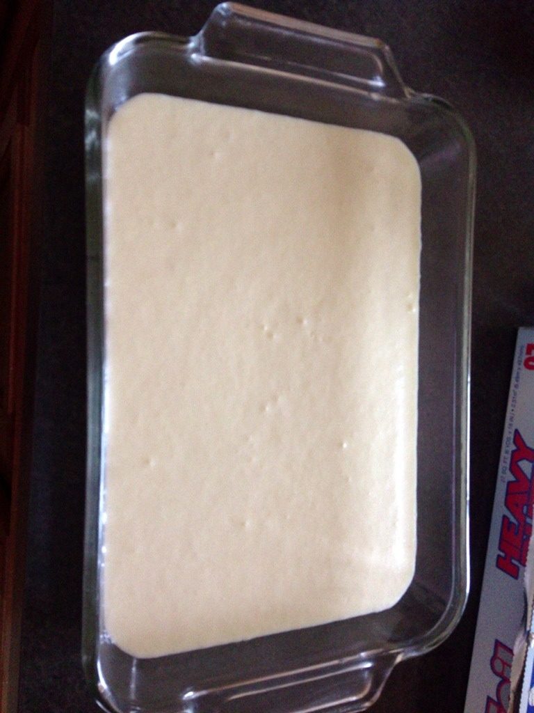 轻乳酪蛋糕,倒入烤模,最后把烤模放在加水的一个容器上进烤箱350度F烤30分钟,然后再325度F烤30分钟,拿出来放凉后放进冰箱一晚后就可以吃啦