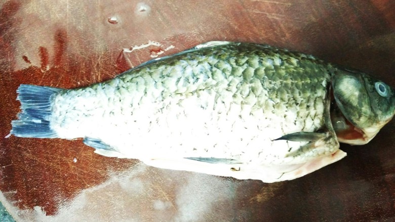 红烧鲤鱼,1、首先处理干净鱼,鱼肚里面有一层黑色的膜是要去干净的,以及鱼鳃要拔掉,不然鱼会很腥的哟!