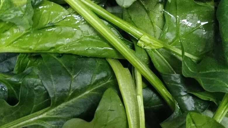 酸辣农家炖,准备自己喜欢的蔬菜,待下锅
