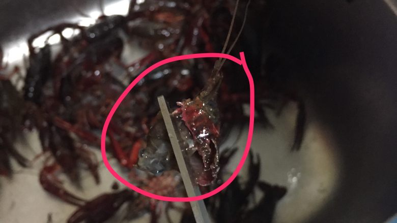 吮指蒜蓉小龙虾,剪下的头2,胃袋完整的被扯出,如果剪破了也没事,反正虾头里面要扯干净!