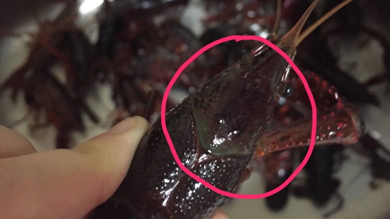 吮指蒜蓉小龙虾,全部刷完一只只第二遍冲干净,然后剪头部,把胃袋抽出!注意,这步很关键,汤干不干净,鲜不鲜美就看这步!如图的圈出的三角区!你想想,胃袋没弄干净,煮到汤里多恶心啊