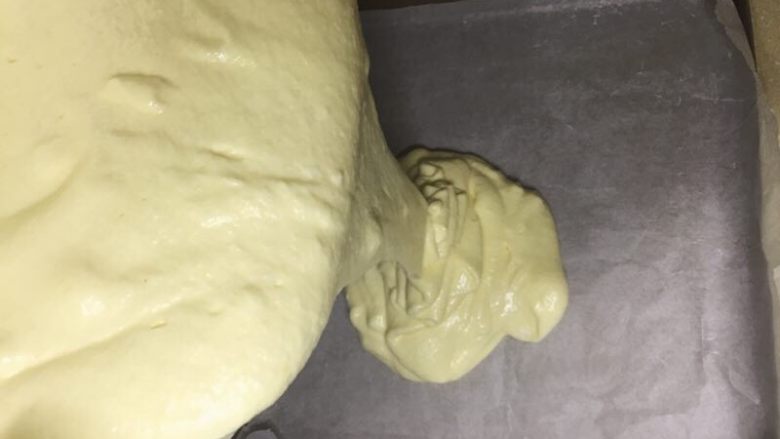 肥厚肉松卷,烤盘铺油纸，把蛋糊倒入烤盘