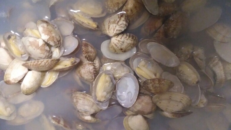 怎样做蛤蜊肉及蛤蜊肉吃法,盖上锅盖几分钟,直到蛤蜊全部张开口