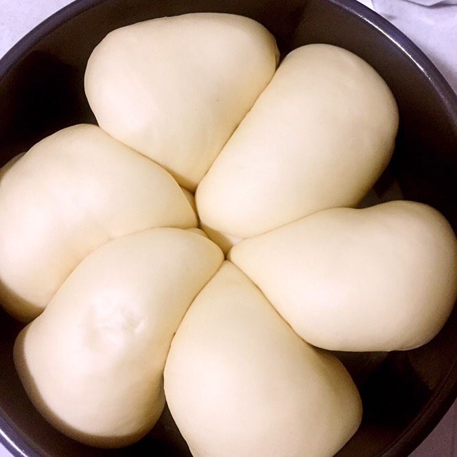 乳酪包,发酵约一个小时,接近满模